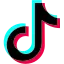 tiktok icon